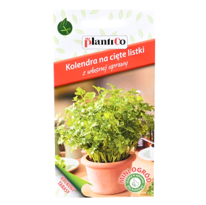 KOLENDRA SIEWNA doniczkowa nasiona 0,5g Mini Ogród