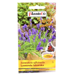 LAWENDA LEKARSKA - odstrasza komary kleszcze muchy - nasiona PlantiCo 0,2g