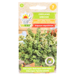 Oregano greckie - Lebiodka, Origanum hirtum, bylina ziołowa - nasiona 0,1g