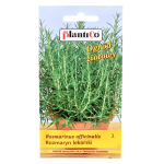 ROZMARYN LEKARSKI - szałwia rozmaryn, zioło wieloletnie - nasiona 0,05g