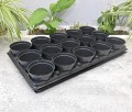 rozsadnik-horti-10:15:P-3.JPG