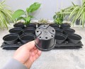 rozsadnik-horti-10:15:P-6.JPG