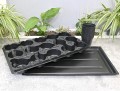 rozsadnik-horti-10:15:P-7.JPG