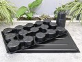 rozsadnik-horti-10:15:P-8.JPG