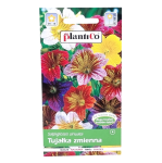 TUJAŁKA ZMIENNA ZATOKOWA - nasiona kwiatów Plantico 0,5g