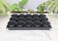 rozsadnik-horti-15OK-2.JPG