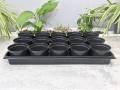 rozsadnik-horti-15OK-3.JPG