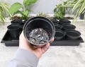 rozsadnik-horti-15OK-5.JPG