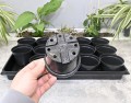 rozsadnik-horti-15OK-6.JPG