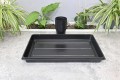 rozsadnik-horti-15OK-7.JPG