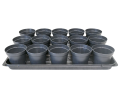 rozsadnik-horti-15:9:OK-1.png