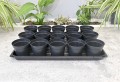 rozsadnik-horti-15:9:OK-2.JPG