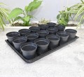 rozsadnik-horti-15:9:OK-3.JPG