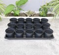 rozsadnik-horti-15:9:OK-4.JPG