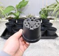 rozsadnik-horti-15:9:OK-7.JPG