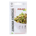 kiełki-zimowa-energia-polan-1.png