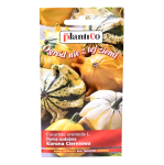 DYNIA ozdobna KORONA CIERNIOWA nasiona 1g