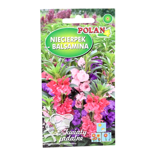 niecierpek-balsamina-polan-1.png