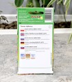 onętek-siarkowy-3.JPG