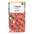 poziomka-rugia-toraf-1.png