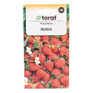 Poziomka RUGIA -  bezrozłogowa smaczna plenna - nasiona Toraf 0,2g