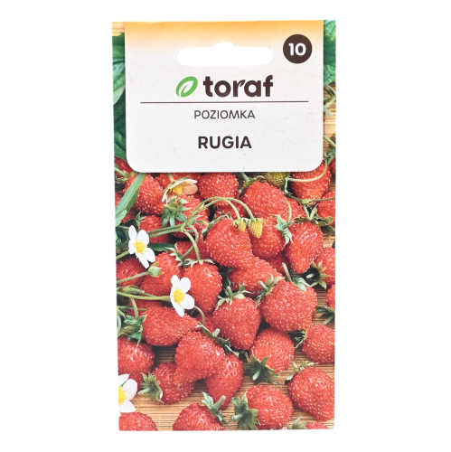 poziomka-rugia-toraf-1.png