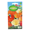 pozłotka-polan-1.png