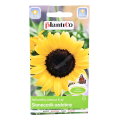 słonecznik-ozdobny-żółty-plantico-1.png