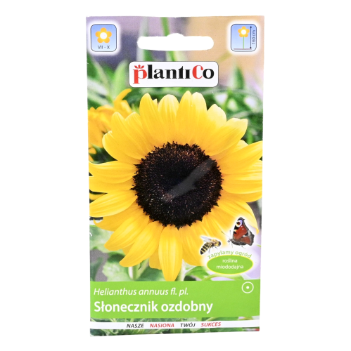 słonecznik-ozdobny-żółty-plantico-1.png