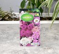 ubiorek-mix-polan-2.JPG