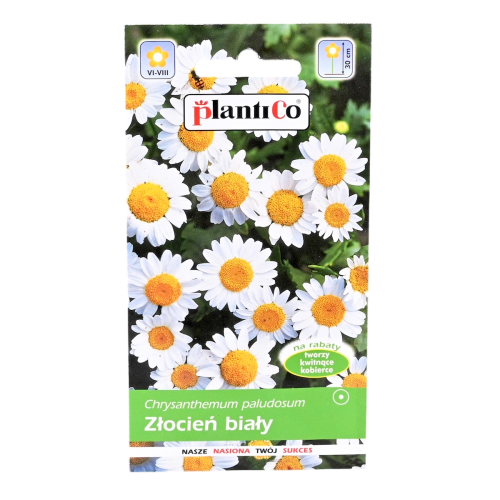 złocień-biały-plantico-1.png