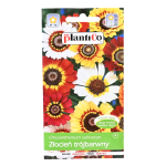 Złocień trójbarwny - kolorowe kwiaty - nasiona PlantiCo 1g