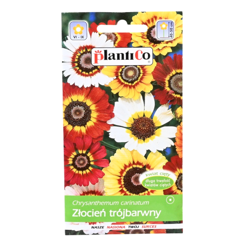 złocień-trójbarwny-plantico-1.png