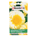 złocień-wieńcowy-plantico-1.png