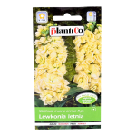 LEWKONIA LETNIA ŻÓŁTA - nasiona kwiatów PlantiCo 0,5g