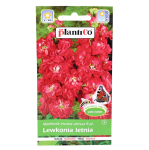 Lewkonia letnia czerwona - pachnące kwiaty - nasiona PlantiCo 0,5g