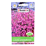 LOBELIA przylądkowa Stroiczka RÓŻOWA nasiona 0,2g