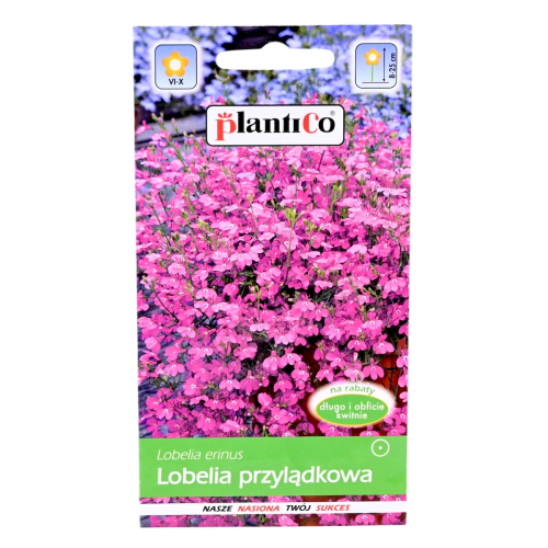 lobelia-przylądkowa-różowa-1.png