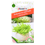 ENDYWIA Romanesca nasiona na cięte listki 0,5g Mini Ogród