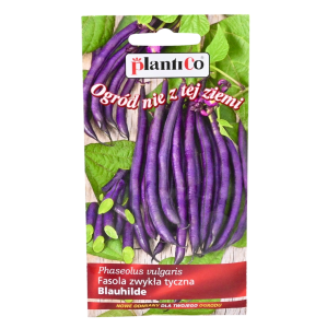 Fasola BLAUHILDE - szparagowa tyczna fioletowa - nasiona PlantiCo 10g