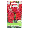 lwia-paszcza-wysoka-czerwona-plantico-1.png
