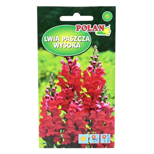 lwia-paszcza-wysoka-czerwona-polan-1.png