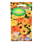 NAGIETEK lekarski wysoki MIX kolorów nasiona Polan 3g