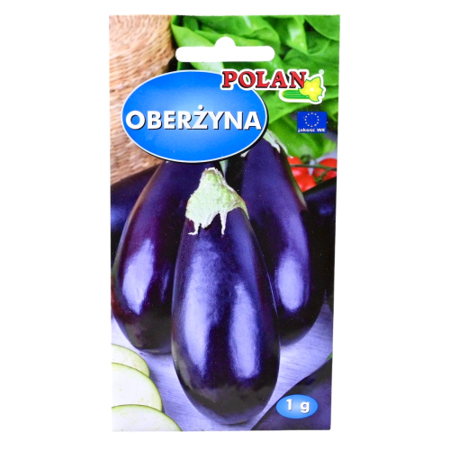 oberżyna-black-beauty-polan-1.png
