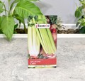 seler-zefir-2.JPG