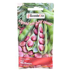 Bób KARMAZYN - czerwony średniowczesny plenny - nasiona PlantiCo 30g