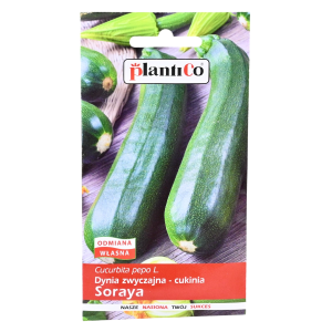 Cukinia SORAYA - średniowczesna, dynia zwyczajna - nasiona PlantiCo 3g