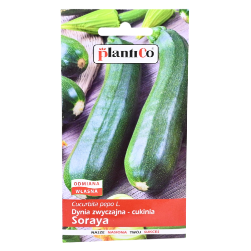 cukinia-soraya-1.png