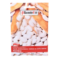 fasola-kontra-1.png