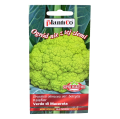 kalafior-verde-1.png